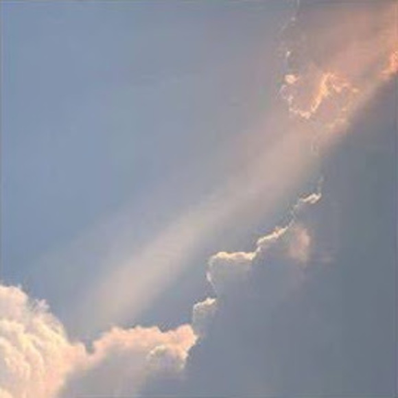 Meet your Posher, Nia - Picture 1 of 1